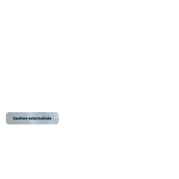 Un simple bouton brun clair portant l'inscription « Gestion externalisée » est centré sur un fond noir, véhiculant la simplicité et une orientation vers l'externalisation.
